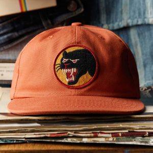 the panther cap